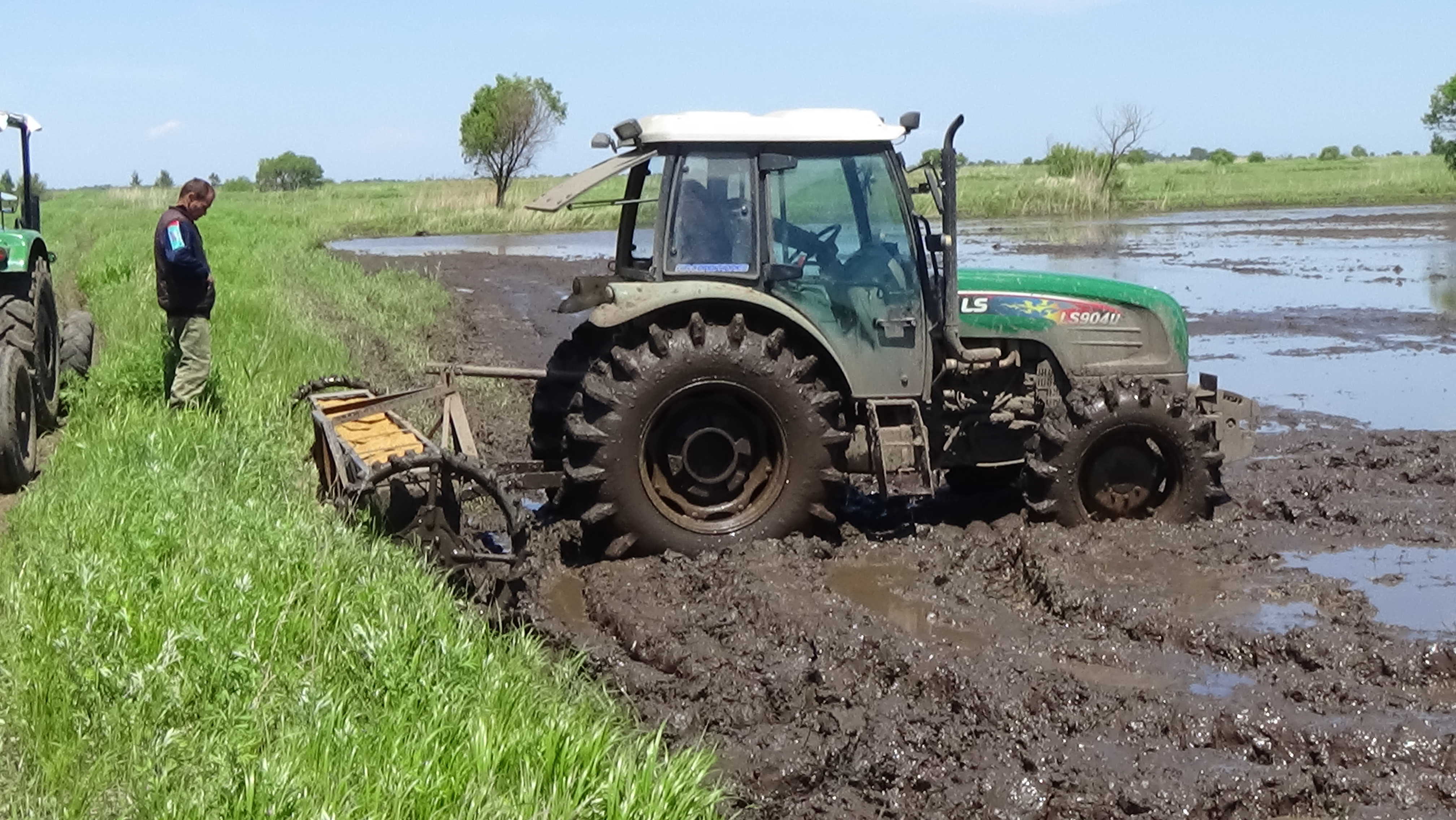 Rice planting